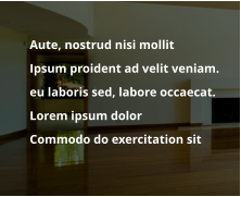 	Aute, nostrud nisi mollit   	Ipsum proident ad velit veniam.  	eu laboris sed, labore occaecat. 	Lorem ipsum dolor  	Commodo do exercitation sit